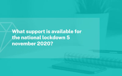What Support Is Available For The National Lockdown 5 November 2020?